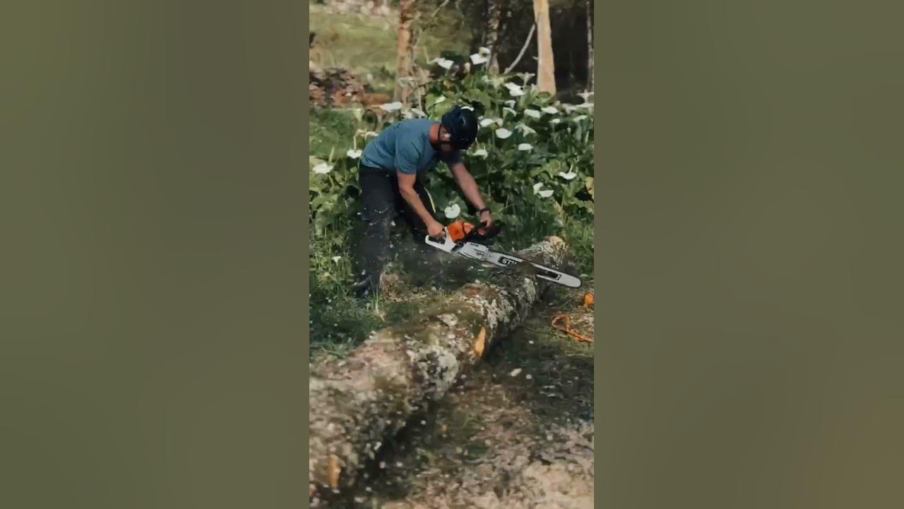 Trabalho técnico em altura — arborismo (serviço complementar)